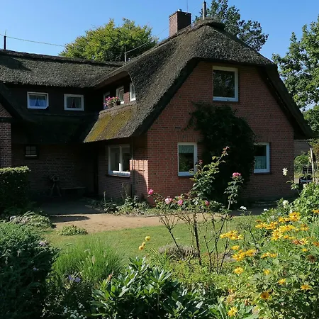Dom wakacyjny Reetgedecktes Am Strandweg In