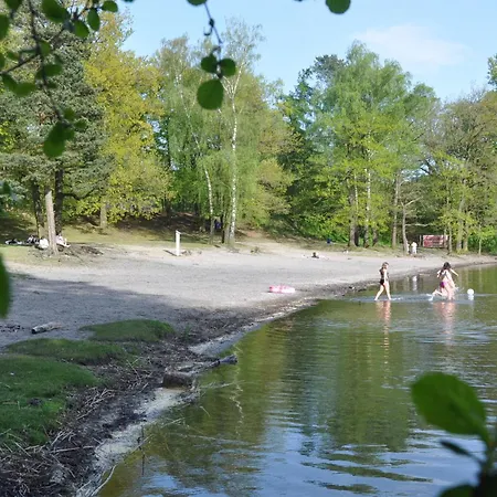 Dom wakacyjny Reetgedecktes Am Strandweg In *