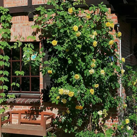 Reetgedecktes Am Strandweg In *